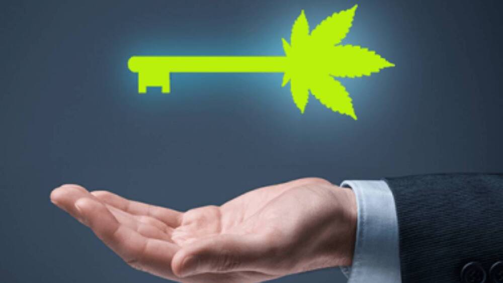 Featured image for “5 Reasons to Invest In CBD”